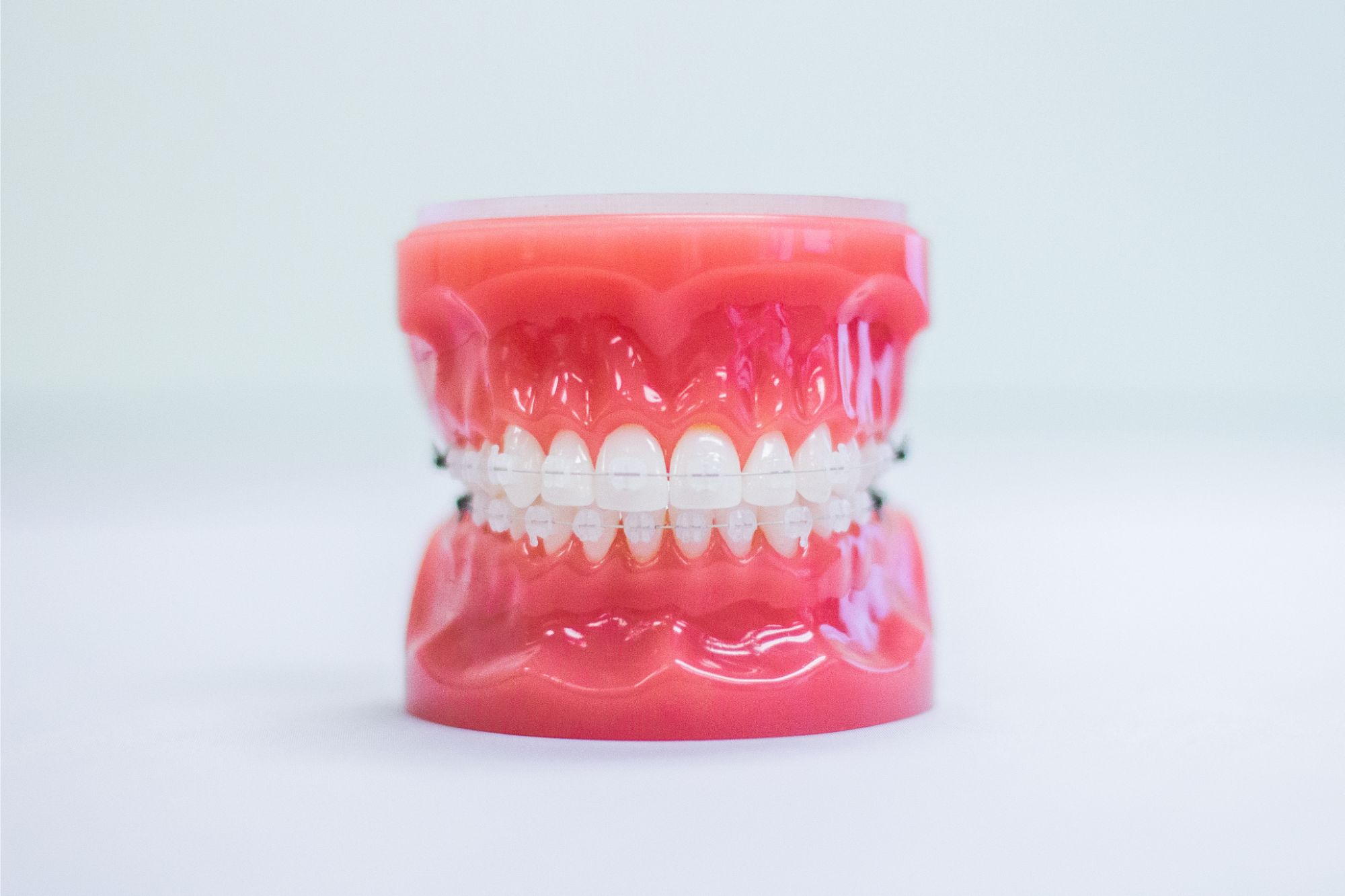 dentist avenel